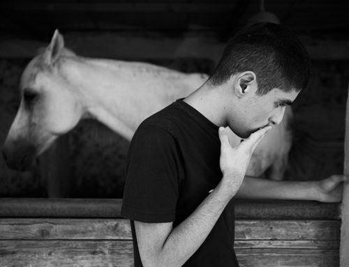 La Forza del Silenzio da Meshroom Photography.